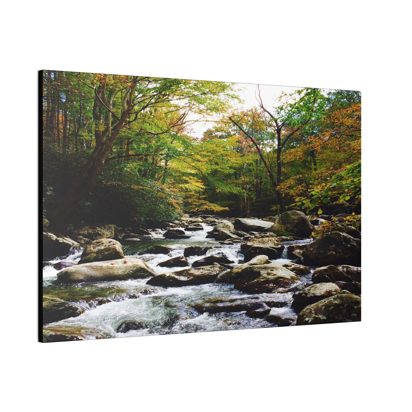 Smoky Mountain Canvas Wall Art
