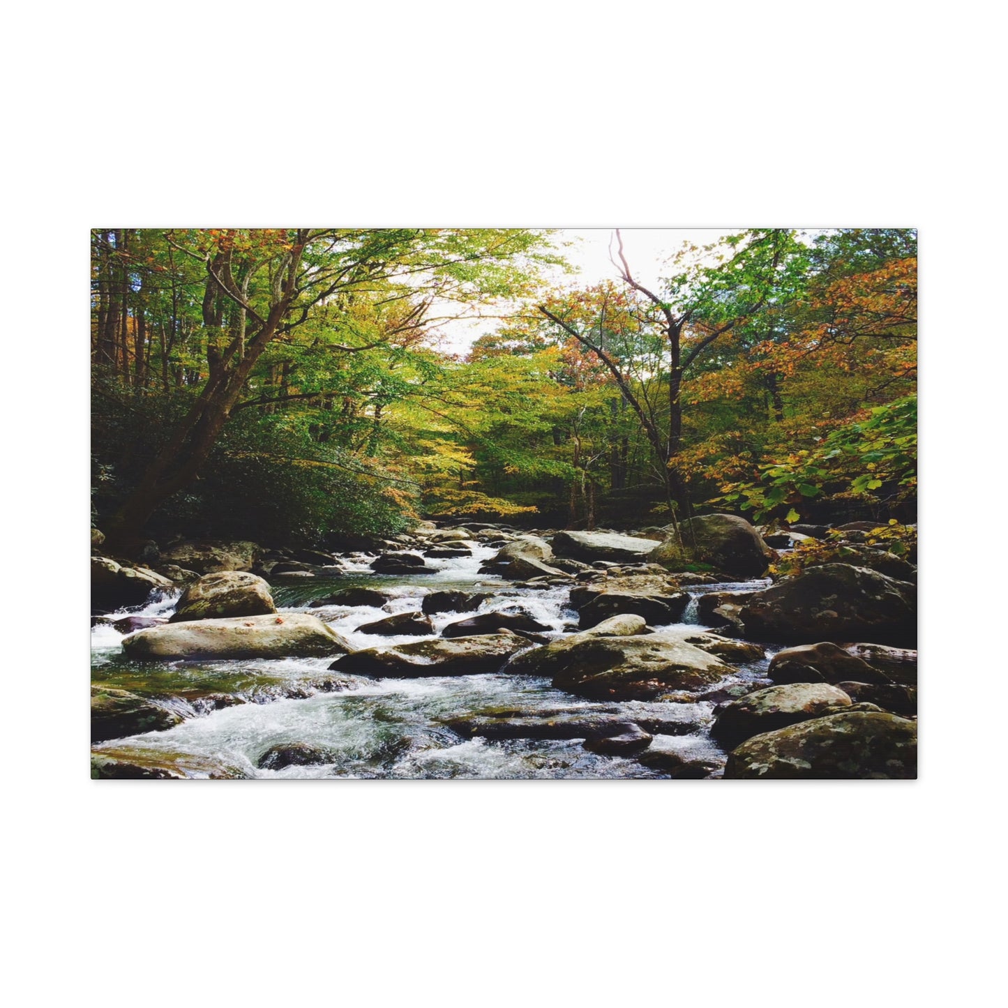 Smoky Mountain Canvas Wall Art