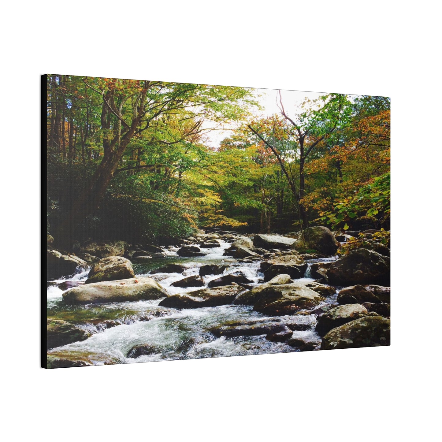 Smoky Mountain Canvas Wall Art