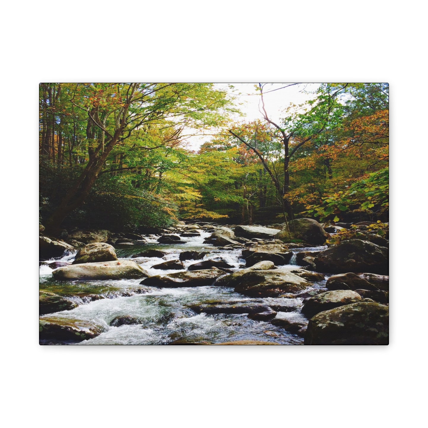Smoky Mountain Canvas Wall Art