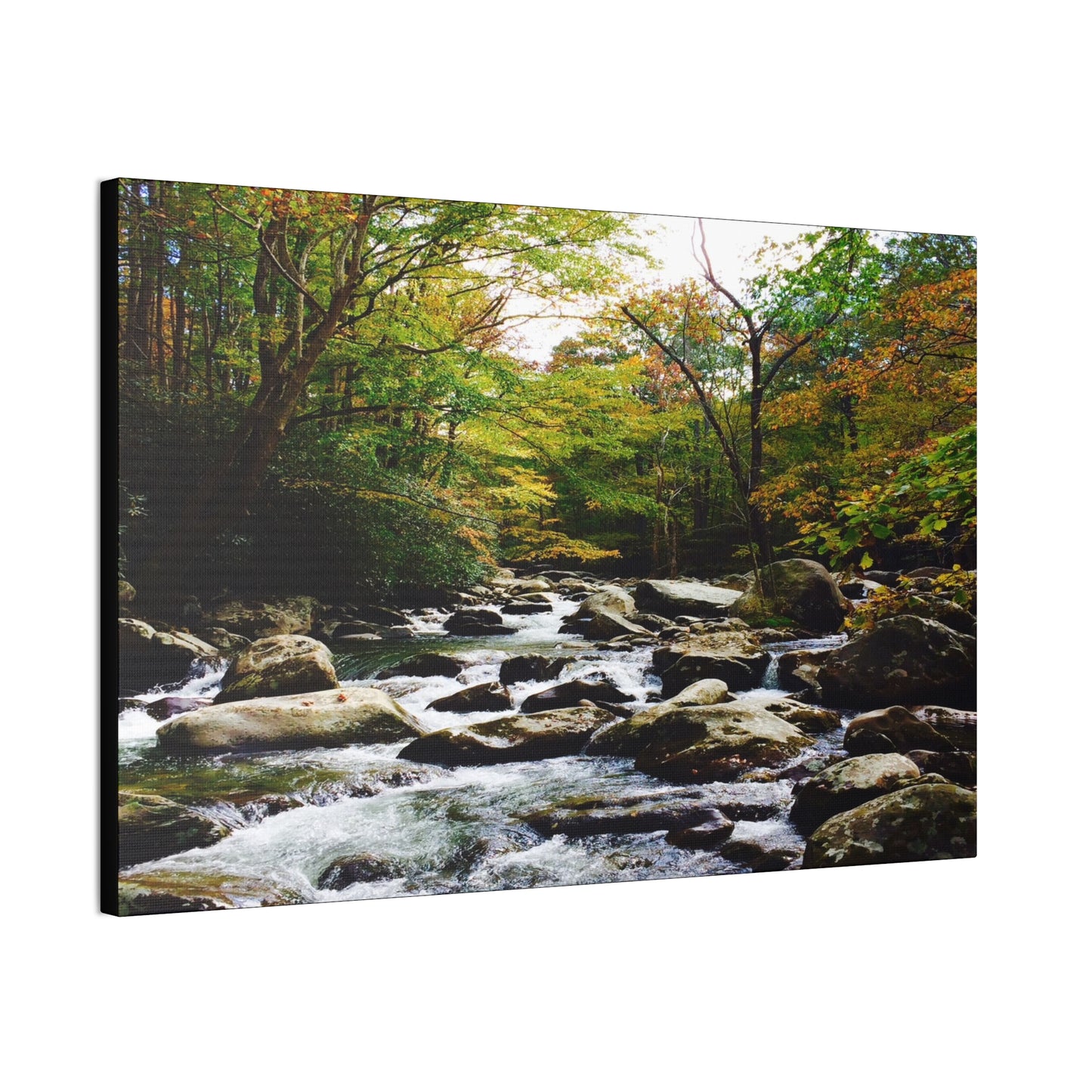 Smoky Mountain Canvas Wall Art