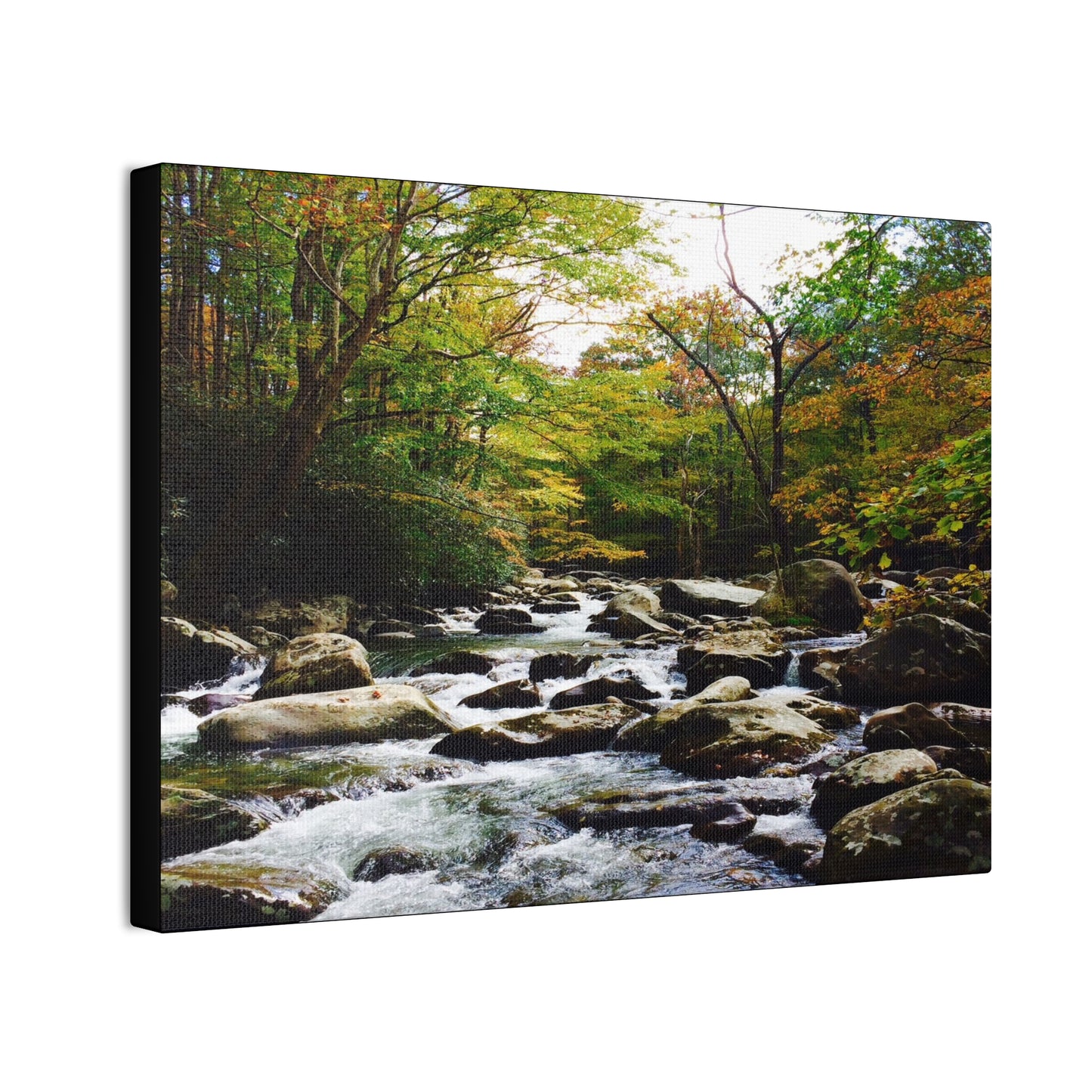 Smoky Mountain Canvas Wall Art