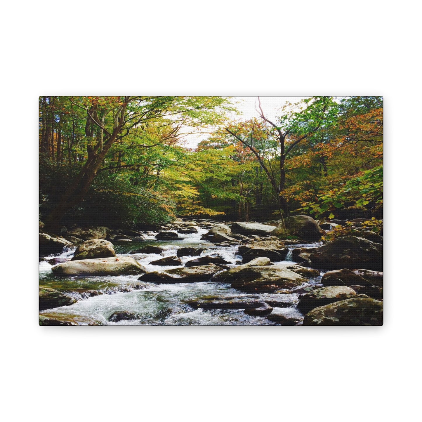 Smoky Mountain Canvas Wall Art