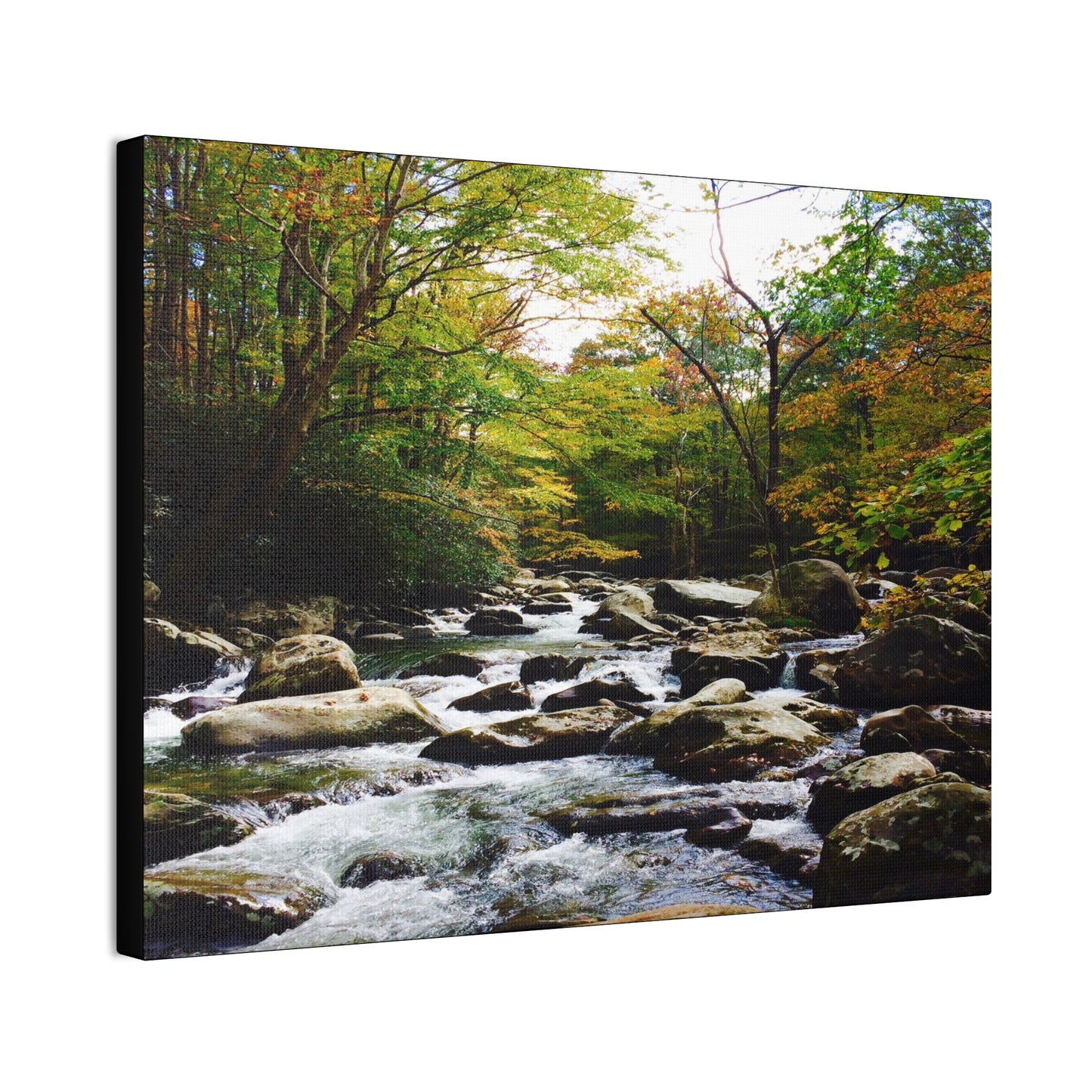 Smoky Mountain Canvas Wall Art