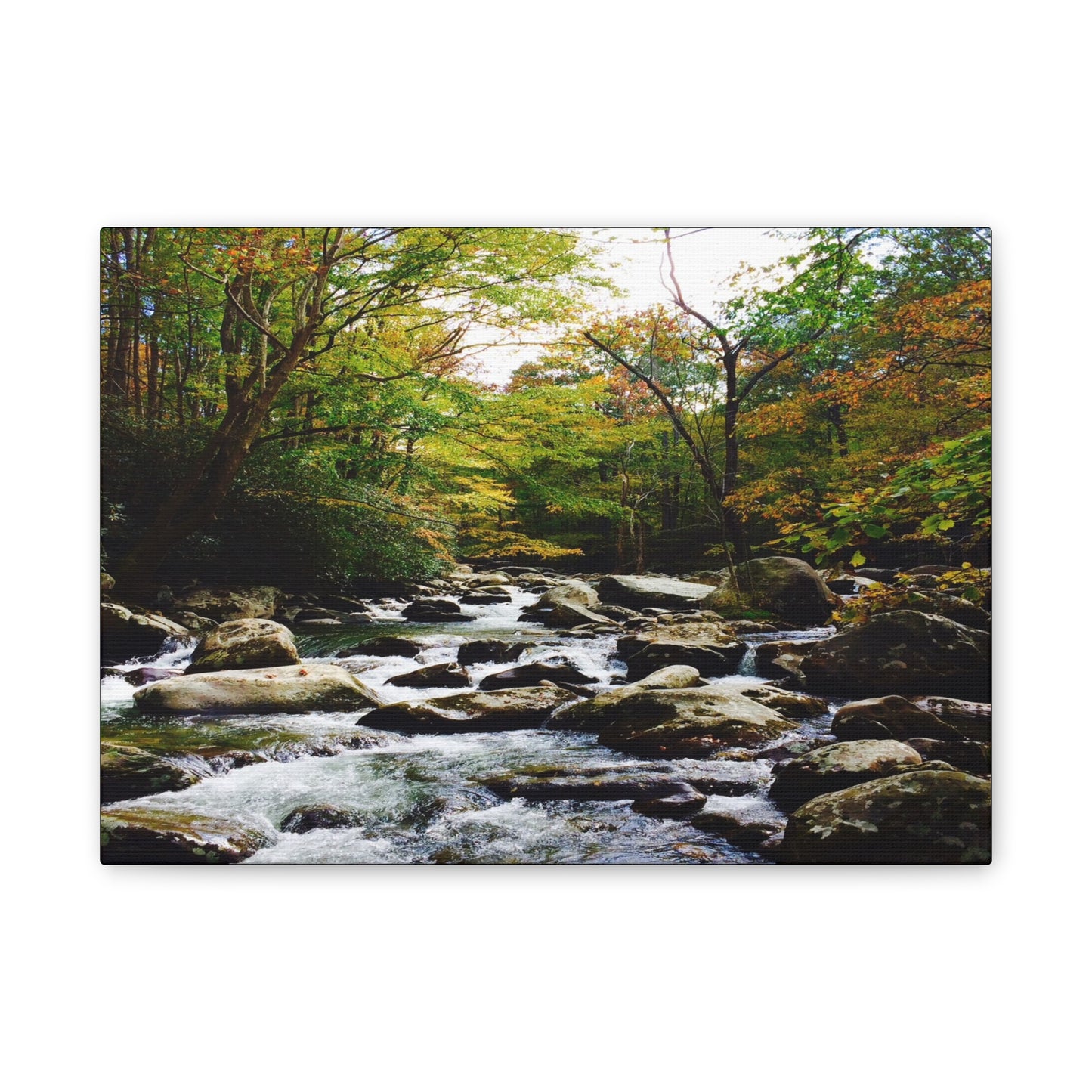 Smoky Mountain Canvas Wall Art